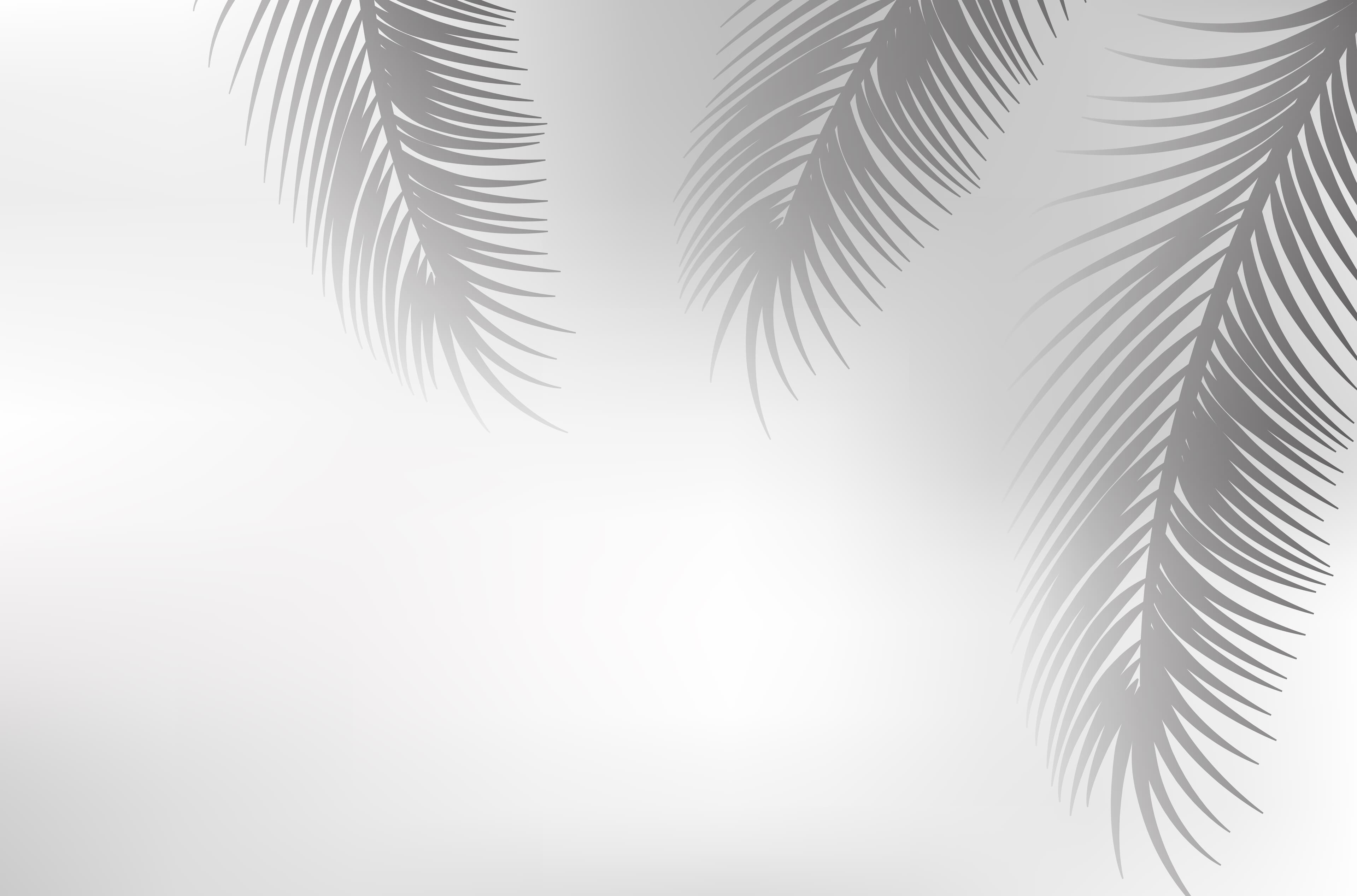 Palm Tree Header Background