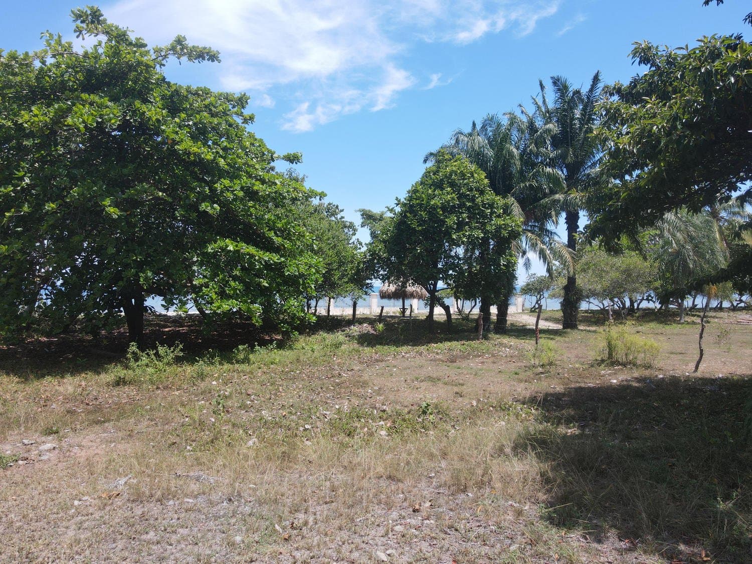 Lote frente al Mar Caribe en Playa Helen 3