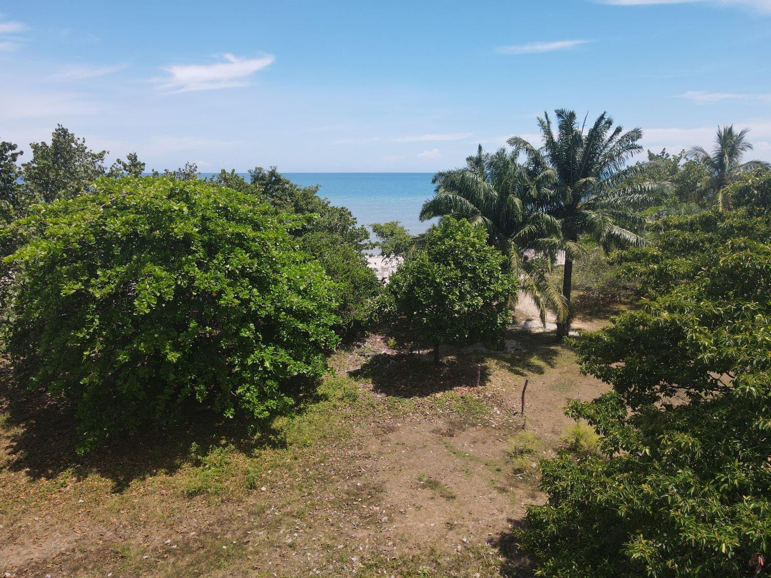 Lote frente al Mar Caribe en Playa Helen 6