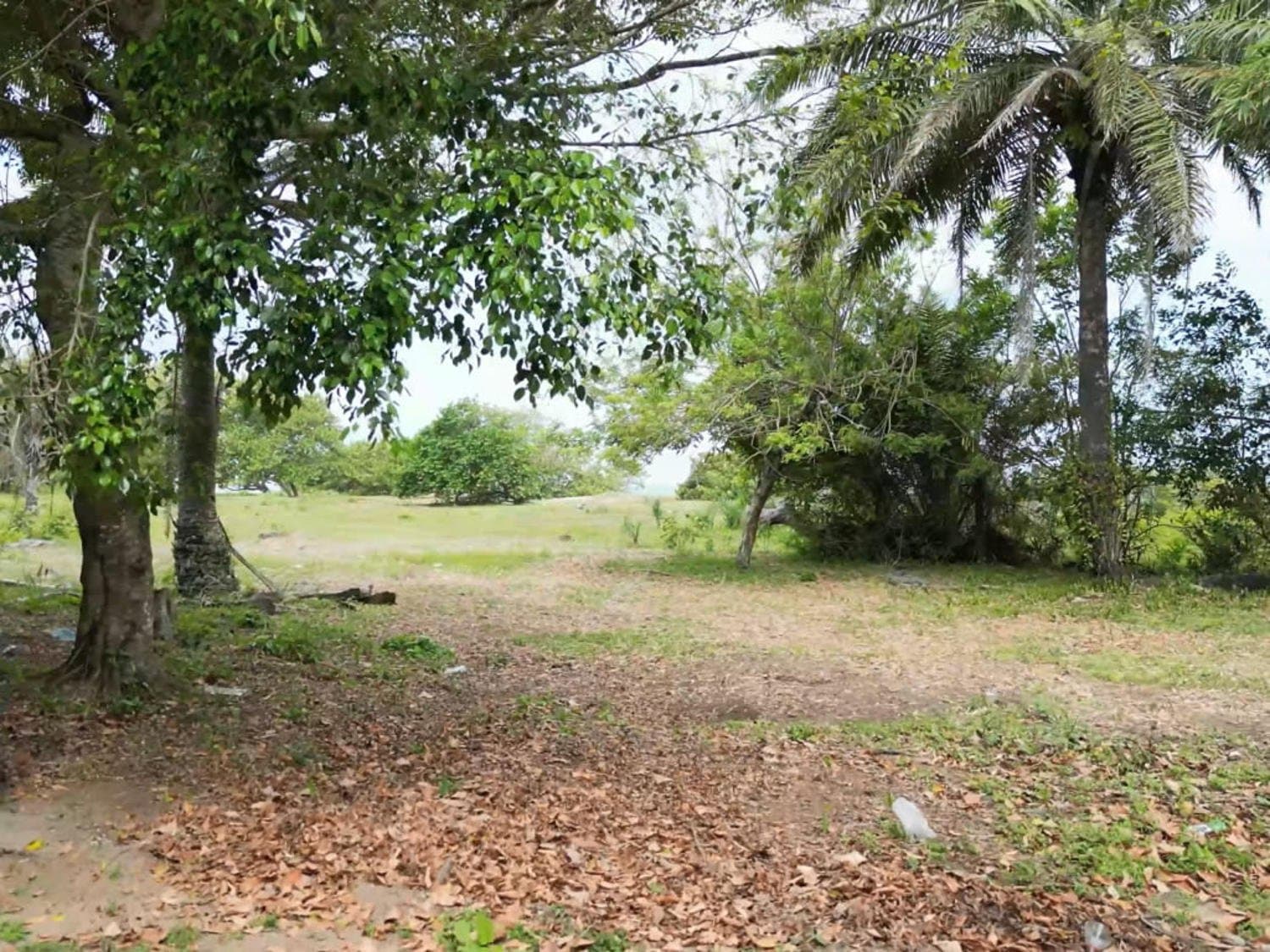 Lote con vista al océano Atlántico y montañas en Coco Pando 4